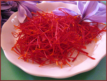 stigmates de safran bio catalan Della Roma